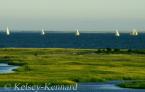 Marsh & Sail